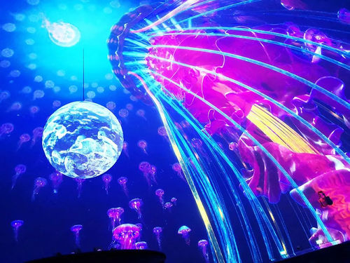 Últimas noticias de la empresa sobre Proyector FLYIN 20000 lumen equipado con lente de ojo de pez para crear una experiencia visual de pantalla esférica impactante
