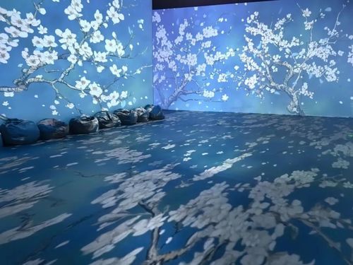 Últimas noticias de la empresa sobre Proyección inmersiva: apertura de un nuevo capítulo en la visión del futuro