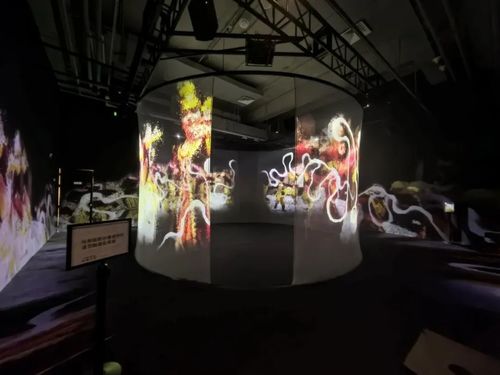 Últimas noticias de la empresa sobre Proyector FLYIN: Reconstruyendo el tiempo y el espacio con luz y sombra, interpretando la épica de la vida de "una mirada por el tiempo"